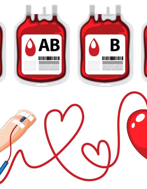 WhatsApp Image 2025-06-12 at 8.07.43 PM